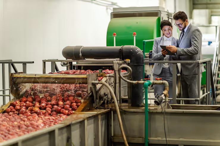 Guide to Fruit Grading Machines in Modern Agriculture: Basics and Explanation