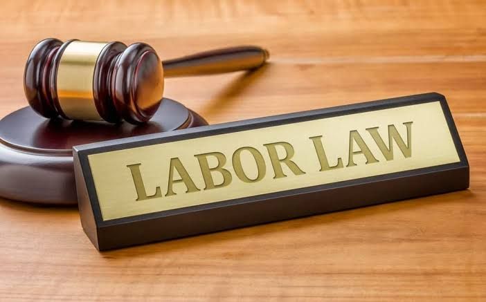 Employment Lawyer Guide: Workplace Disputes, Employee Rights, and Legal Claims