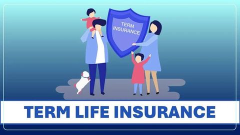 Guide to Life Insurance: Coverage Options, Policy Types, and Beneficiary Information