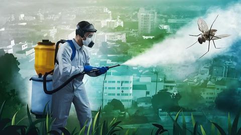 The Complete Tips to Effective Pest Control Solutions