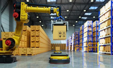 Palletizing Robot Explore Modern Warehouse Automation Systems