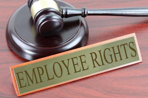 Employment Discrimination Guide: Workplace Rights, Legal Claims, and Federal Protections