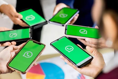 Bulk WhatsApp Messaging Insights for Business Communication Growth