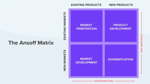Market Expansion Strategy Guide: New Territories, Customer Research, and Business Planning