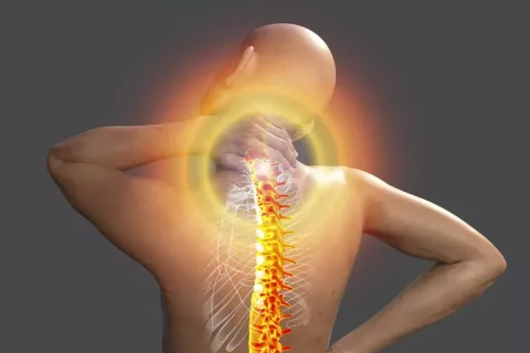 Fibromyalgia Management Guide: Pain Treatment Approaches, Therapy Options, Specialist Care, and Recovery Planning