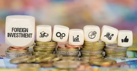 Foreign Investment Guide: Cross-Border Investment, Regulatory Requirements, and Business Planning