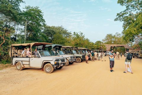 Complete Luxury South Africa Safari Vacation Overview: Discover Safari Regions, Accommodations & Key Facts