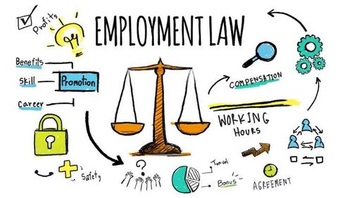 Employment Law Basics Guide: Workplace Regulations, Employee Rights, Legal Insights, and Practical Information