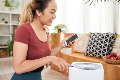 Air Purifier Advice for Cleaner Air in Bedrooms and Living Rooms