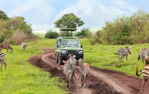 Complete Africa Travel Overview: Discover Countries, Attraction & Key Facts