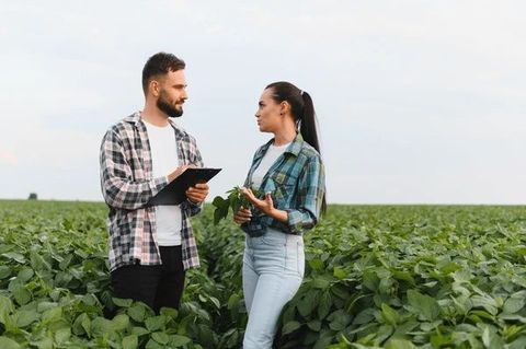 A Complete Guide to the Agricultural Marketplace: Learn Essential Knowledge and Concepts