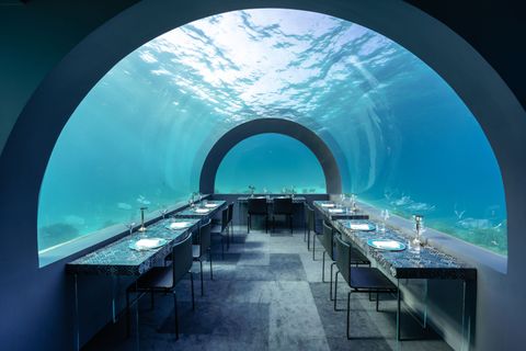 Underwater Hotels: Explore Features, Insights, Suggestions, Help, and Useful Resources