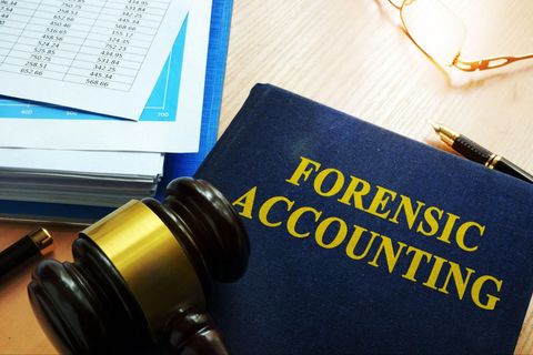Forensic Accounting Guide: Financial Investigations, Fraud Detection, or Business Analysis