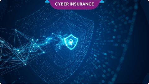 Cyber Insurance Guide: Coverage Options, Risk Assessment, and Business Protection
