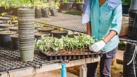 Best Seed Sowing Equipment: A Practical Guide for Modern Agriculture