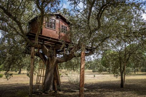 Expert Guide to Tree House Hotels: Deep Dive into Luxury, Safety, and Sustainability