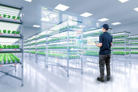 Cold Room Suppliers: A Complete Guide to Temperature-Controlled Storage Solutions