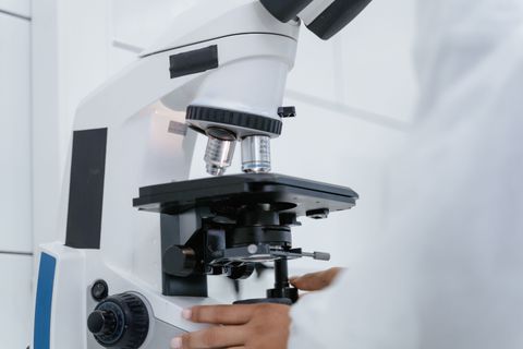 Microscope Guide: Explore Types, Components, Working Principles & Technology