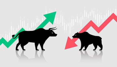 Stock Market Insights: Explore Market Basics, Trends and Useful Facts