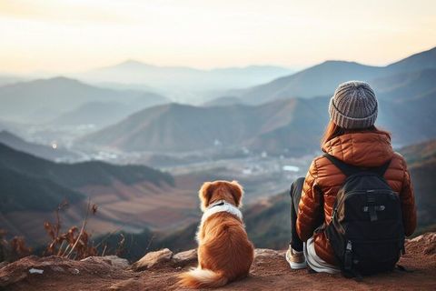 Insights Into Pet-Friendly Travel Ideas for Exploring Destinations With Animals