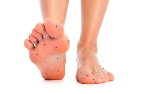 Peripheral Neuropathy Guide: Nerve Pain Treatment, Therapy Options, Medication Approaches, and Care Planning