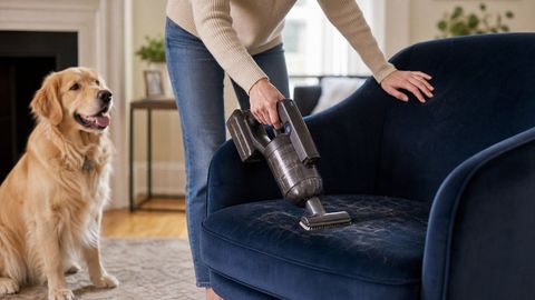 Cordless Handheld Vacuums Explained: Portable Cleaning Insights