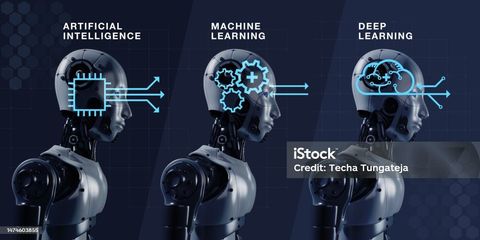 AI Model Training Techniques: Explore the Basics, Essential Methods, and Practical Insights.
