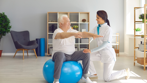 Physical Therapy Guide: Rehabilitation Exercises, Mobility Training, and Recovery