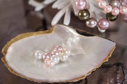 Explore Akoya Pearls: Origins, Unique Luster, and Timeless Beauty