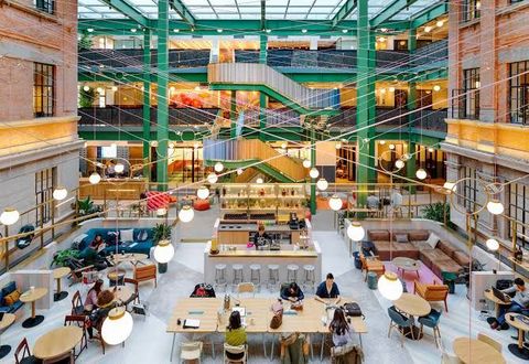 Why Are Coworking Spaces in Bangalore Popular, What Facilities Are Available & Who Can Benefits?