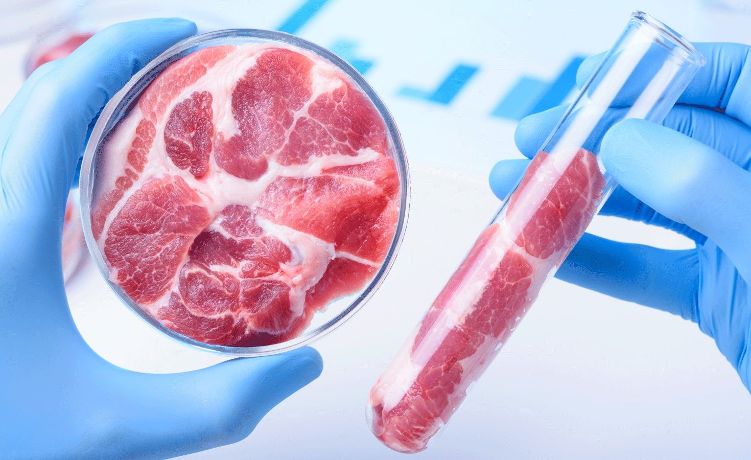 Lab-Grown Meat Explained: Insights and Key Facts About the Future of Sustainable Protein