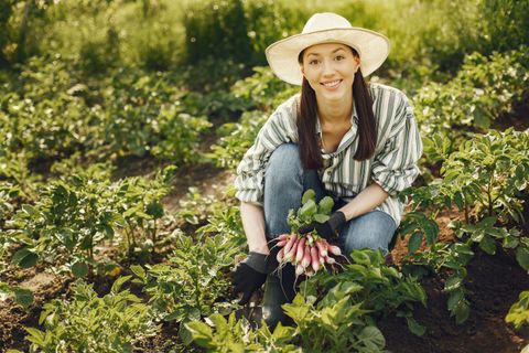 Seasonal Farming Knowledge Hub: Learn Yield Improvement Tips, Farming Details & Expert Advice