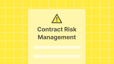Business Contract Risk Allocation Guide: Indemnity Clauses, Liability Caps, Insurance Requirements, and Dispute Prevention